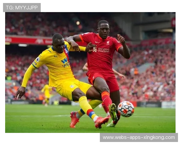 奥林匹亚科斯决定在冬窗完善中后场轮换方案