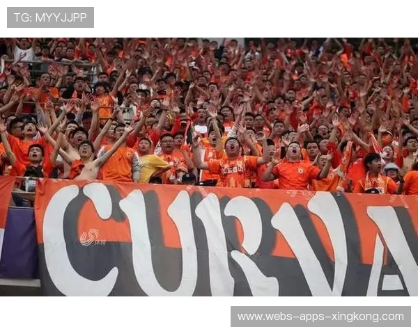 海港的国际赛场拓展：目标在哪些国家落地？